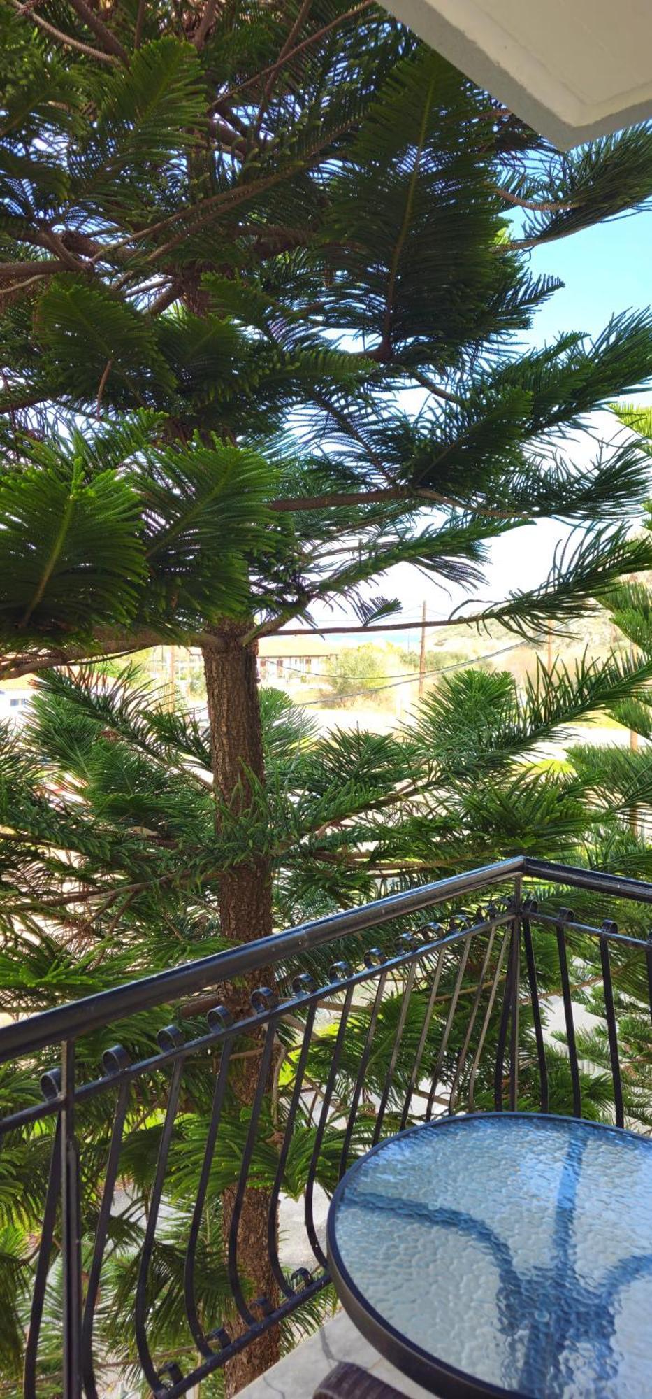 Argiropouloi Hotel Parálion Ástros Kültér fotó